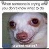 joey_100